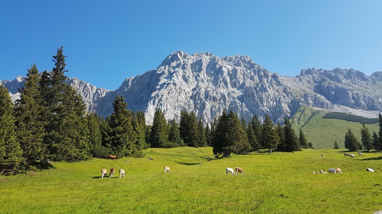 Ferienhaus Villa Alpenpanorama Ohlstadt Buitenkant foto